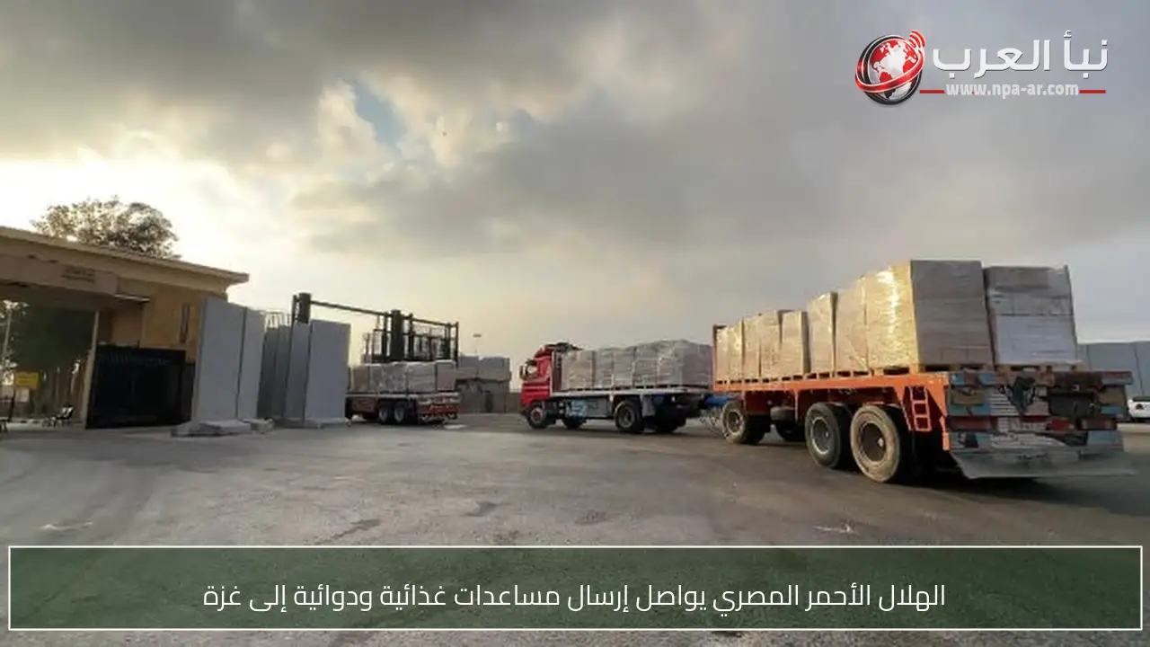 الهلال الأحمر المصري يواصل إرسال مساعدات غذائية ودوائية إلى غزة