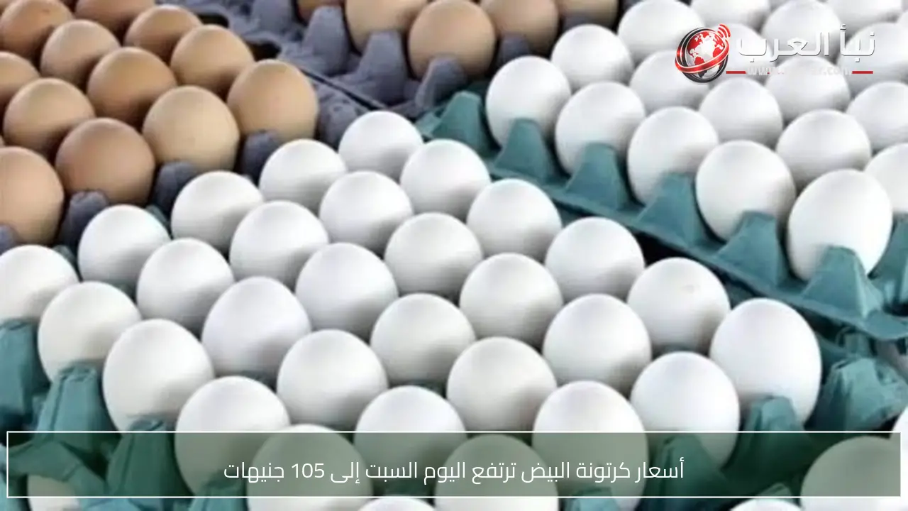 أسعار كرتونة البيض ترتفع اليوم السبت إلى 105 جنيهات
