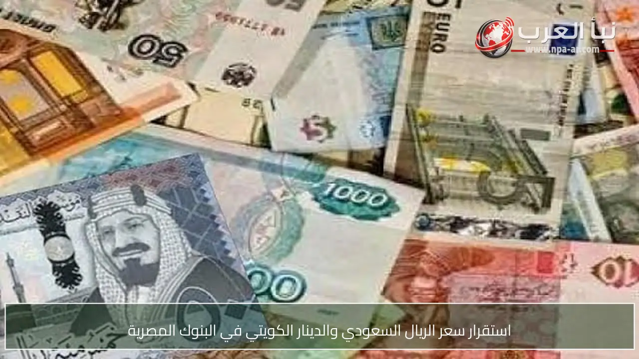 استقرار سعر الريال السعودي والدينار الكويتي في البنوك المصرية