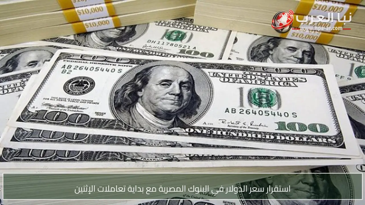 استقرار سعر الدولار في البنوك المصرية مع بداية تعاملات الإثنين