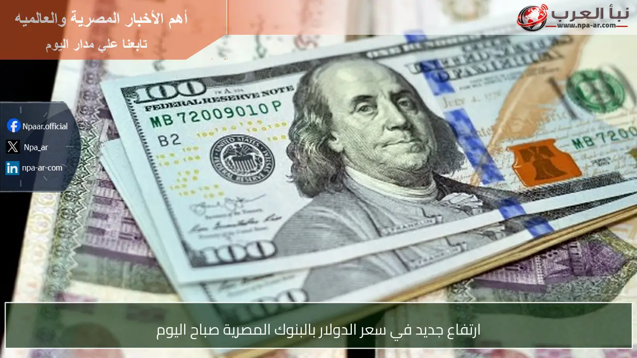 ارتفاع جديد في سعر الدولار بالبنوك المصرية صباح اليوم