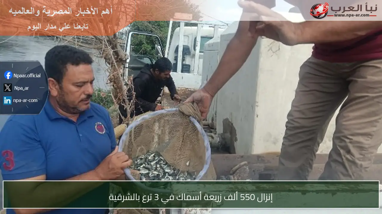 إنزال 550 ألف زريعة أسماك في 3 ترع بالشرقية