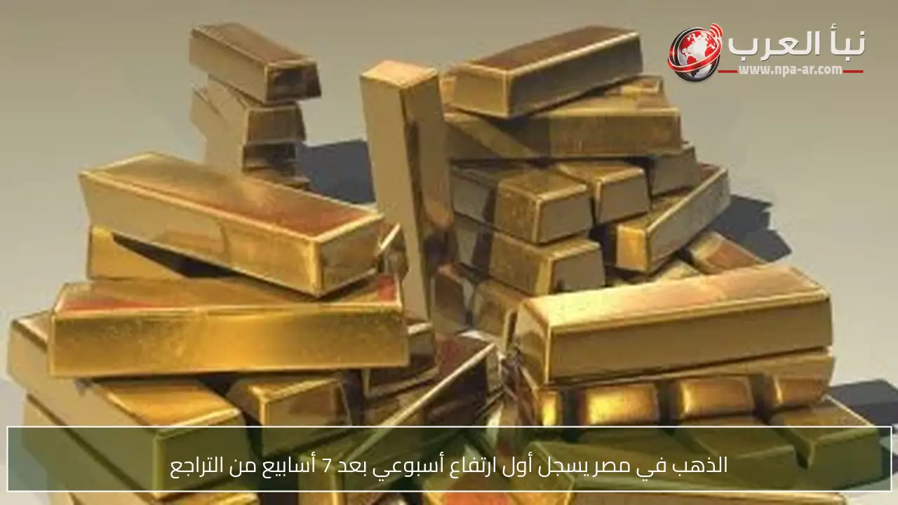 الذهب في مصر يسجل أول ارتفاع أسبوعي بعد 7 أسابيع من التراجع