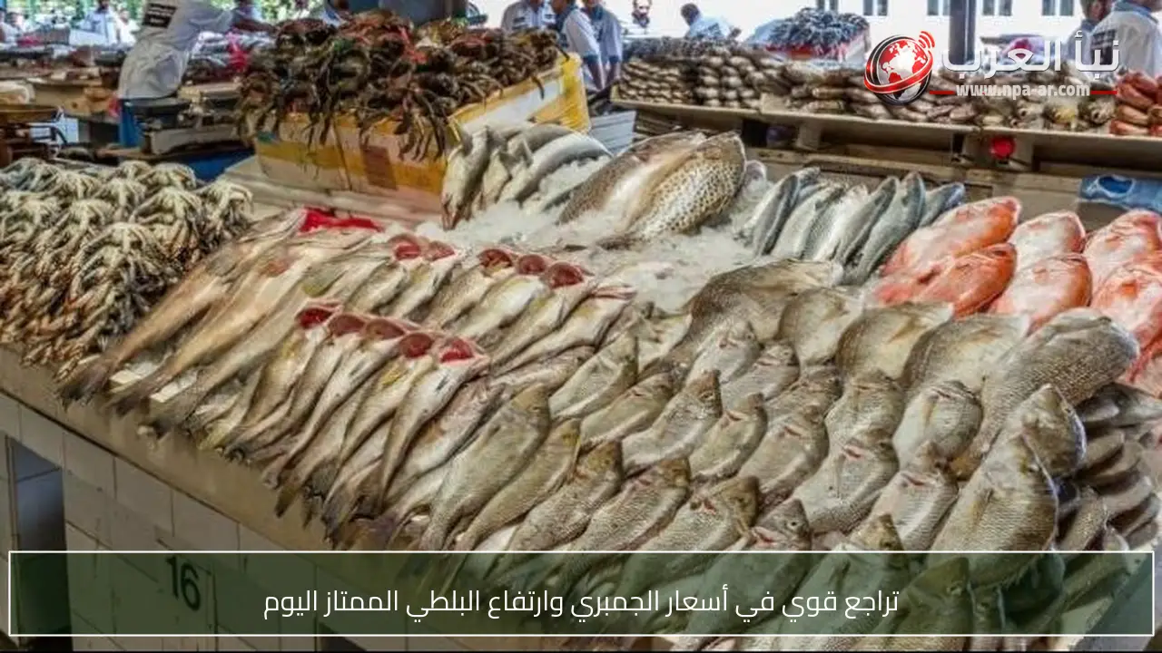 تراجع قوي في أسعار الجمبري وارتفاع البلطي الممتاز اليوم