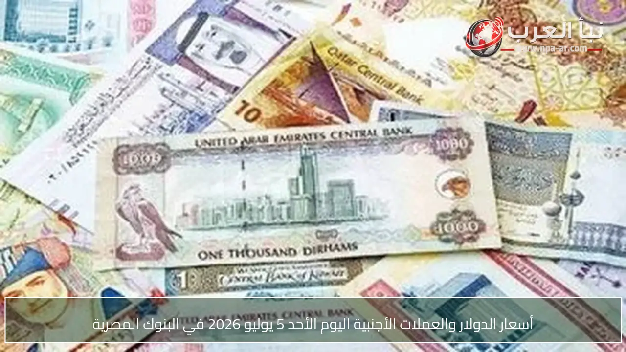 أسعار الدولار والعملات الأجنبية اليوم الأحد 5 يوليو 2026 في البنوك المصرية