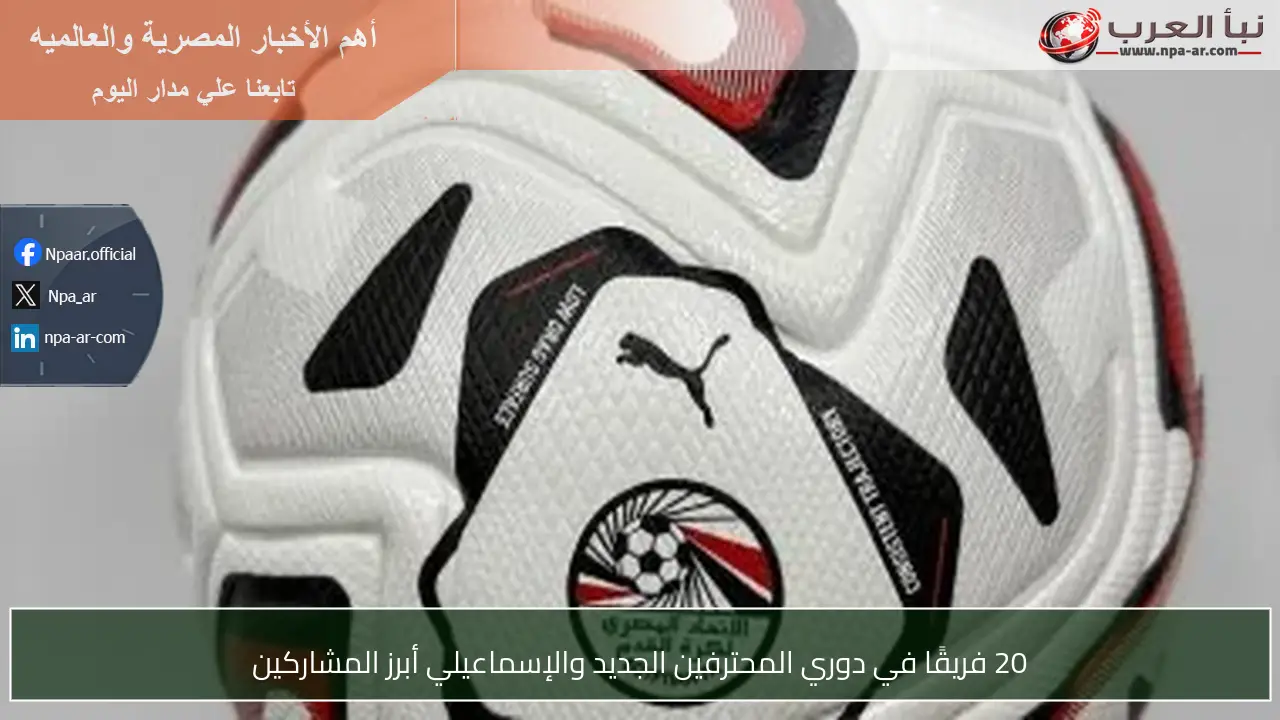 20 فريقًا في دوري المحترفين الجديد والإسماعيلي أبرز المشاركين