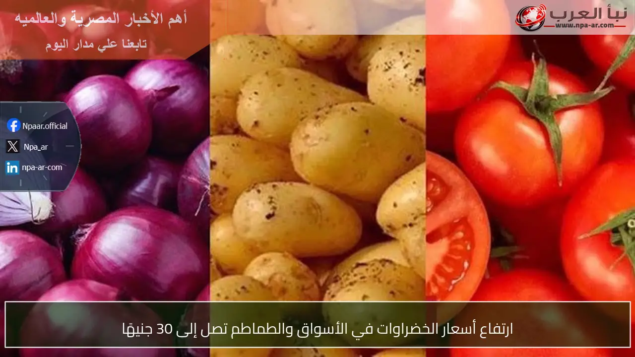 ارتفاع أسعار الخضراوات في الأسواق والطماطم تصل إلى 30 جنيهًا