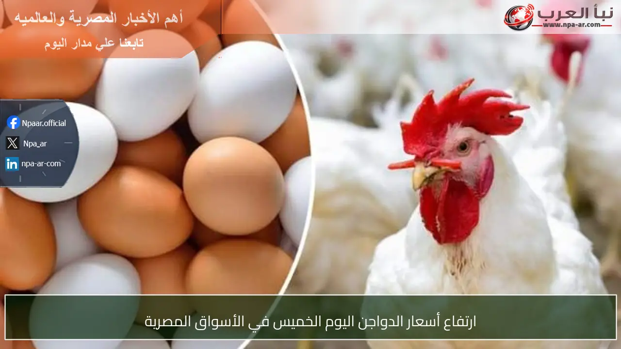 ارتفاع أسعار الدواجن اليوم الخميس في الأسواق المصرية