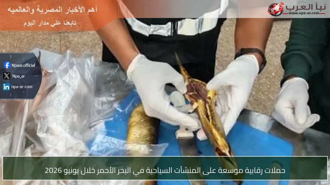 حملات رقابية موسعة على المنشآت السياحية في البحر الأحمر خلال يونيو 2026