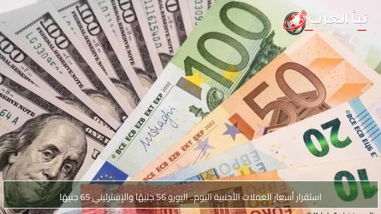 استقرار أسعار العملات الأجنبية اليوم.. اليورو 56 جنيهًا والإسترليني 65 جنيهًا