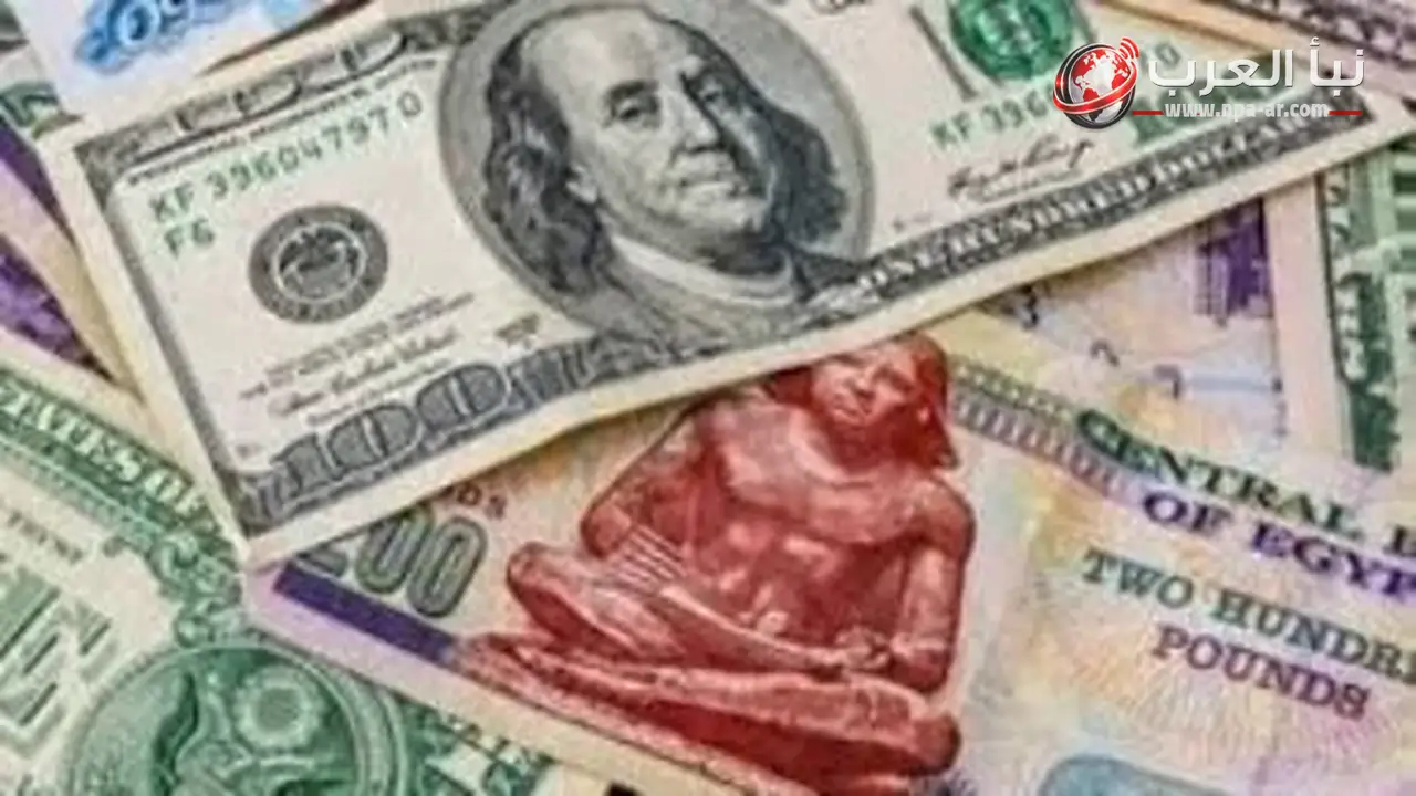 استقرار سعر الدولار اليوم الجمعة 3 يوليو 2026 أمام الجنيه