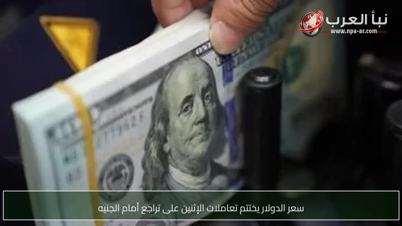 سعر الدولار يختتم تعاملات الإثنين على تراجع أمام الجنيه