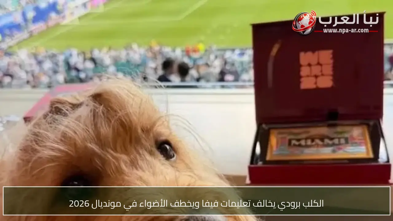 الكلب برودي يخالف تعليمات فيفا ويخطف الأضواء في مونديال 2026