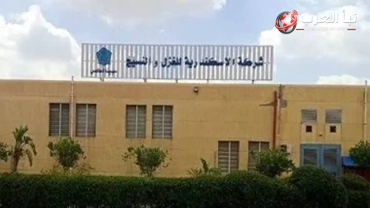 شريف كيرلس يطرح 726 مليون جنيه للاستحواذ على حصة إضافية في سبينالكس