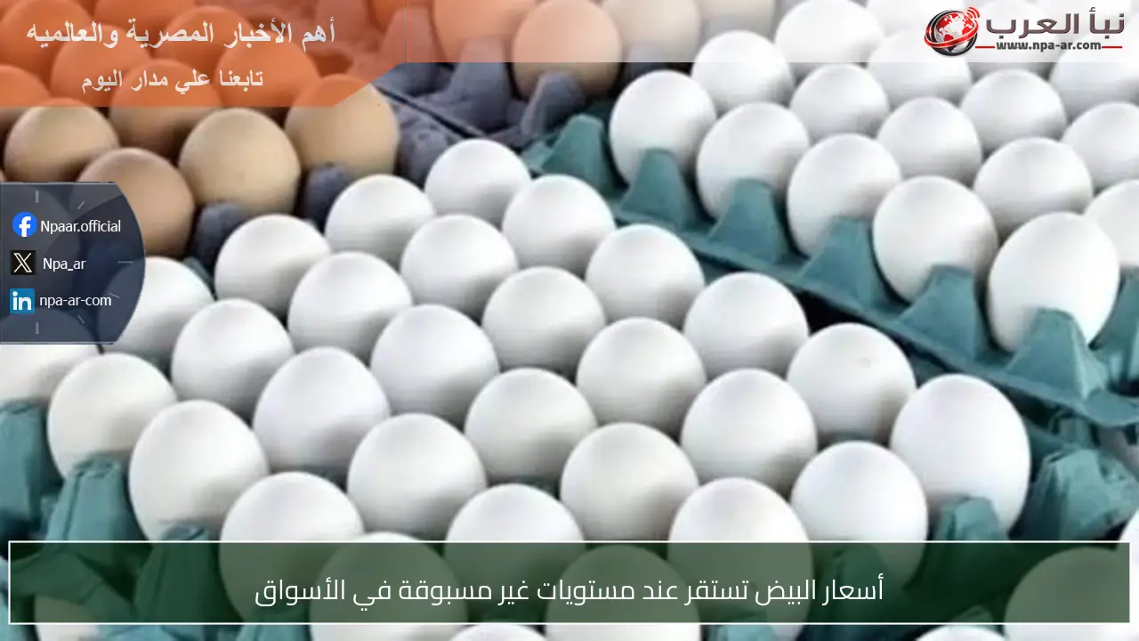 أسعار البيض تستقر عند مستويات غير مسبوقة في الأسواق