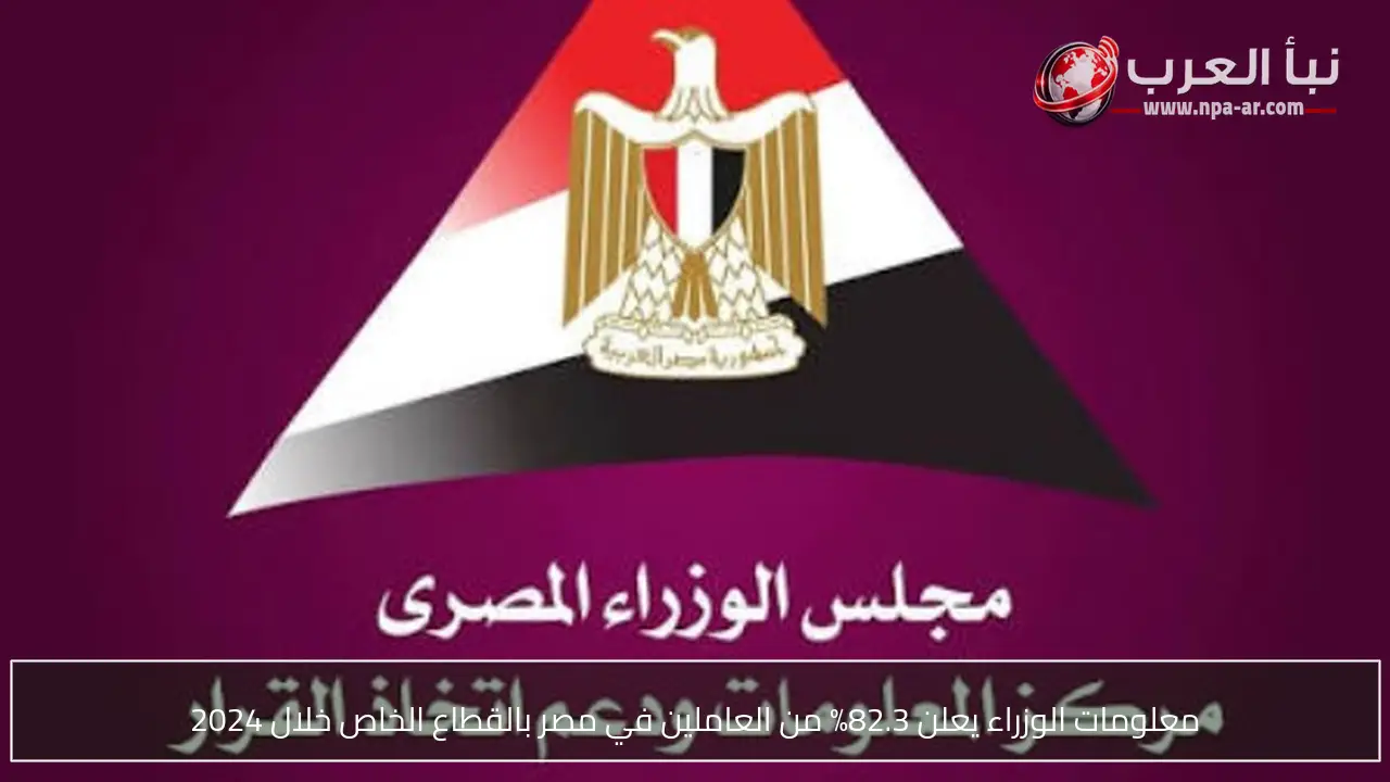 معلومات الوزراء يعلن 82.3% من العاملين في مصر بالقطاع الخاص خلال 2024