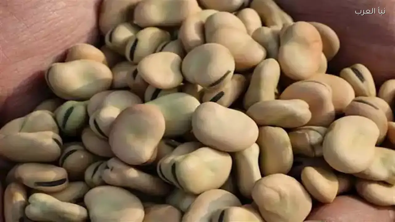 ارتفاع أسعار الفول والجبن الأبيض والمسلي الصناعي اليوم في الأسواق