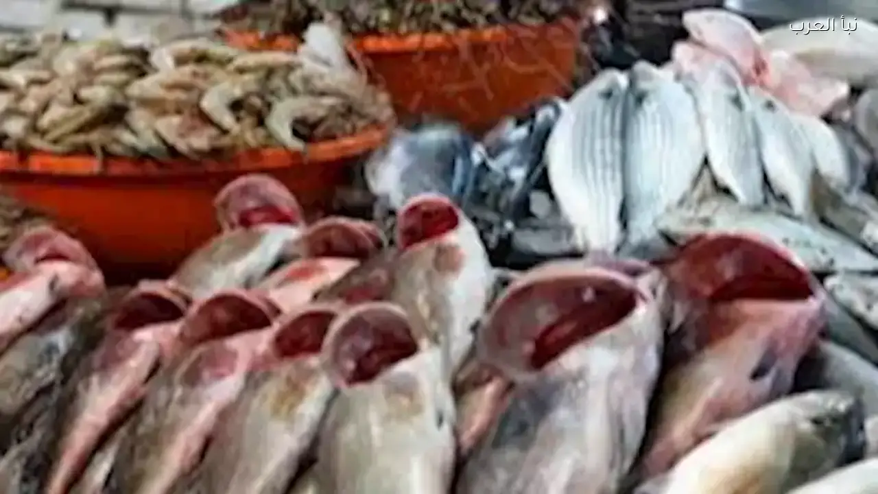 أسعار الأسماك والمأكولات البحرية في سوق العبور اليوم