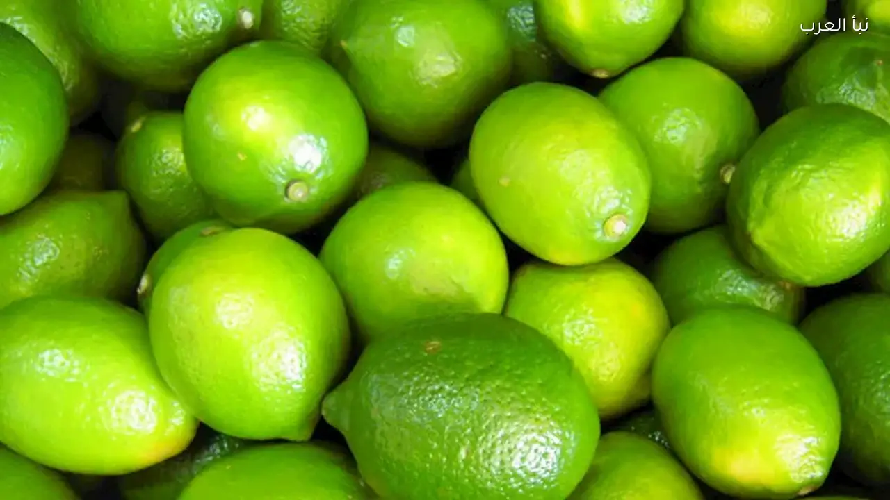 أسعار الليمون تنخفض اليوم في سوق العبور